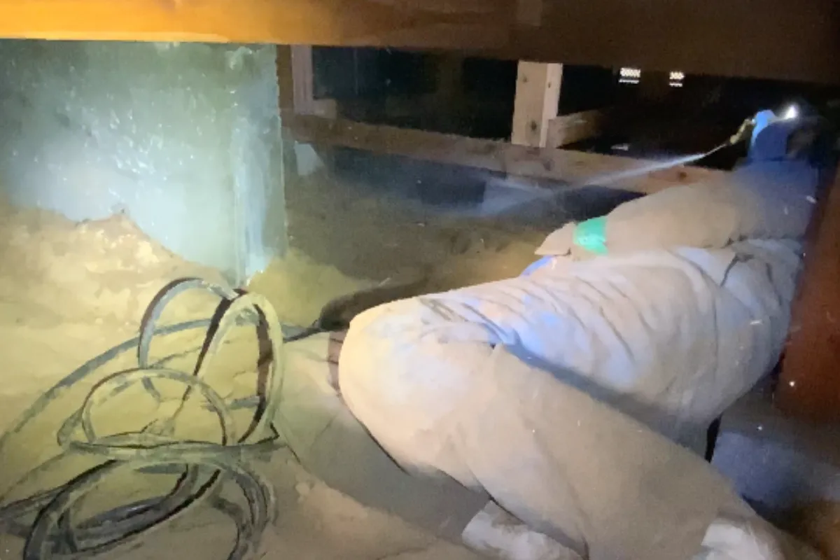 住宅まわりの害虫駆除施工イメージ